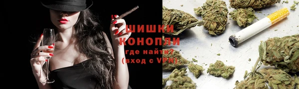 прущие грибы Армянск