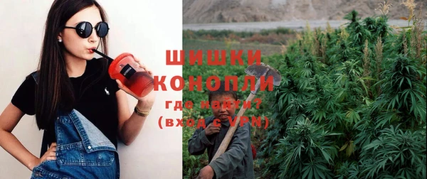 прущие грибы Армянск