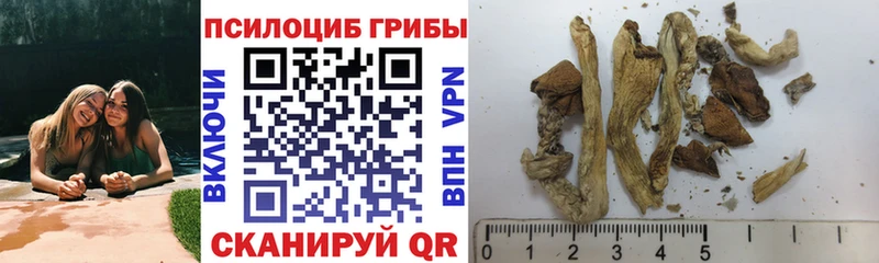 Галлюциногенные грибы GOLDEN TEACHER  цены наркотик  hydra зеркало  Динская 